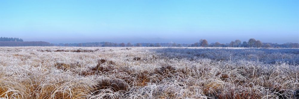 Noordsche veld
